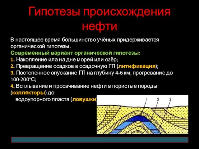 Гипотезы происхождения нефти В настоящее время большинство учёных придерживается органической гипотезы.