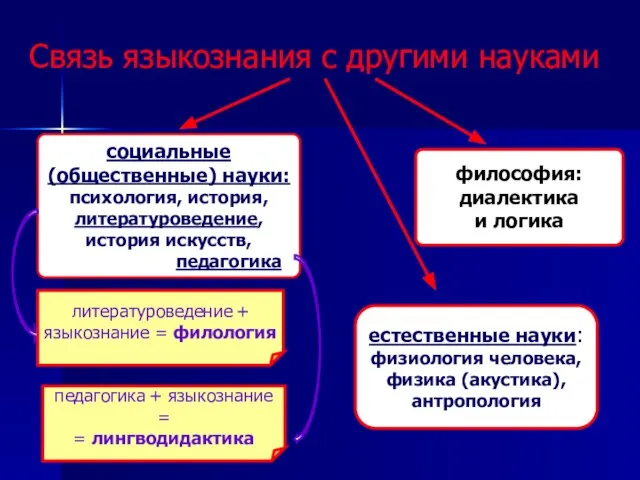 Связь языкознания с другими науками социальные (общественные) науки: психология, история, литературоведение,