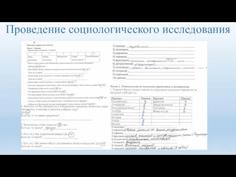 Проведение социологического исследования