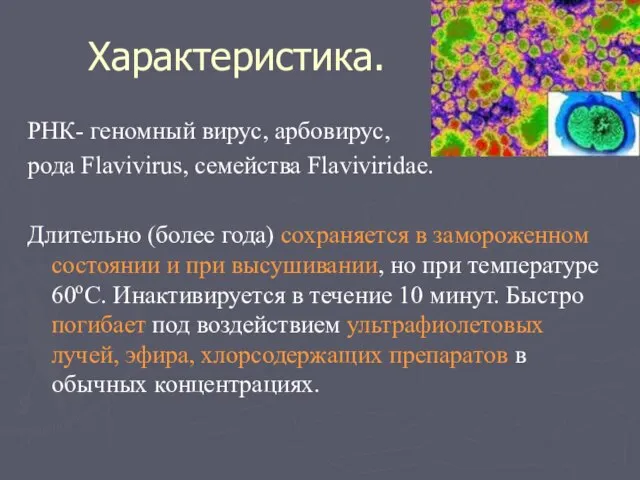 Характеристика. РНК- геномный вирус, арбовирус, рода Flavivirus, семейства Flaviviridae. Длительно (более
