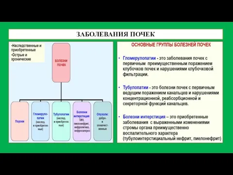 ЗАБОЛЕВАНИЯ ПОЧЕК