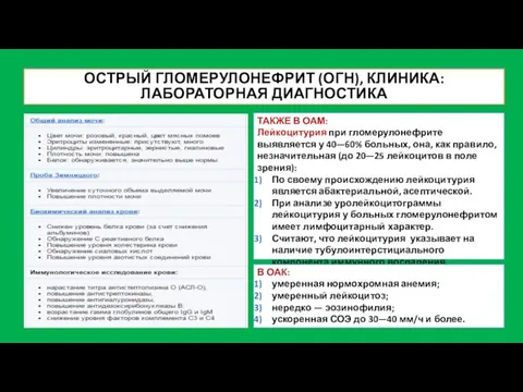 ОСТРЫЙ ГЛОМЕРУЛОНЕФРИТ (ОГН), КЛИНИКА: ЛАБОРАТОРНАЯ ДИАГНОСТИКА ТАКЖЕ В ОАМ: Лейкоцитурия при