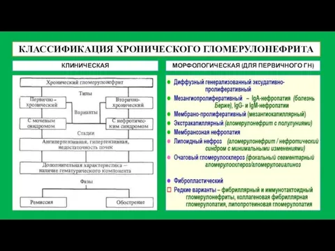 КЛАССИФИКАЦИЯ ХРОНИЧЕСКОГО ГЛОМЕРУЛОНЕФРИТА КЛИНИЧЕСКАЯ МОРФОЛОГИЧЕСКАЯ (ДЛЯ ПЕРВИЧНОГО ГН)