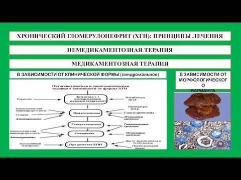 ХРОНИЧЕСКИЙ ГЛОМЕРУЛОНЕФРИТ (ХГН): ПРИНЦИПЫ ЛЕЧЕНИЯ НЕМЕДИКАМЕНТОЗНАЯ ТЕРАПИЯ МЕДИКАМЕНТОЗНАЯ ТЕРАПИЯ В ЗАВИСИМОСТИ