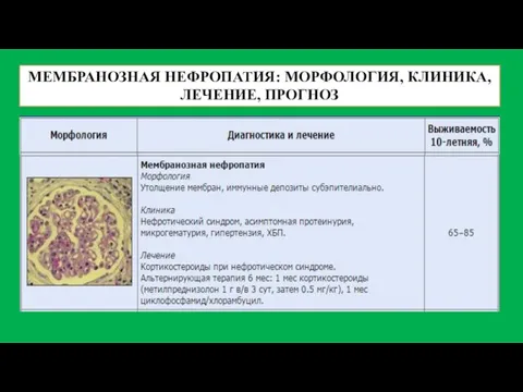 МЕМБРАНОЗНАЯ НЕФРОПАТИЯ: МОРФОЛОГИЯ, КЛИНИКА, ЛЕЧЕНИЕ, ПРОГНОЗ