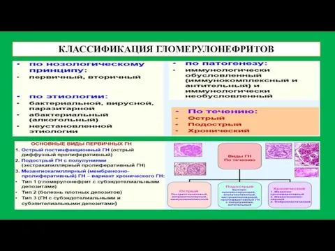 КЛАССИФИКАЦИЯ ГЛОМЕРУЛОНЕФРИТОВ