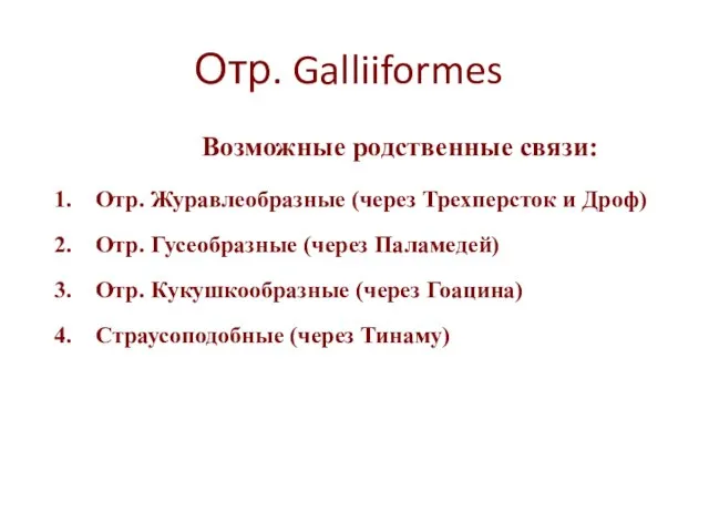 Отр. Galliiformes Возможные родственные связи: Отр. Журавлеобразные (через Трехперсток и Дроф)