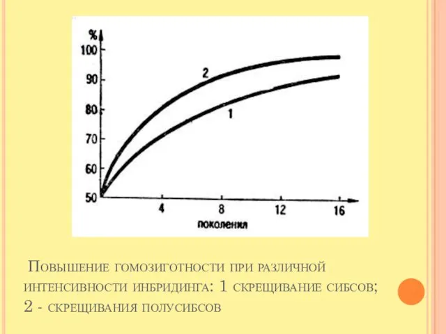 Повышение гомозиготности при различной интенсивности инбридинга: 1 скрещивание сибсов; 2 - скрещивания полусибсов