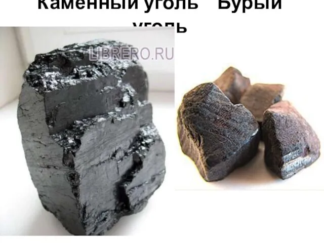 Каменный уголь Бурый уголь