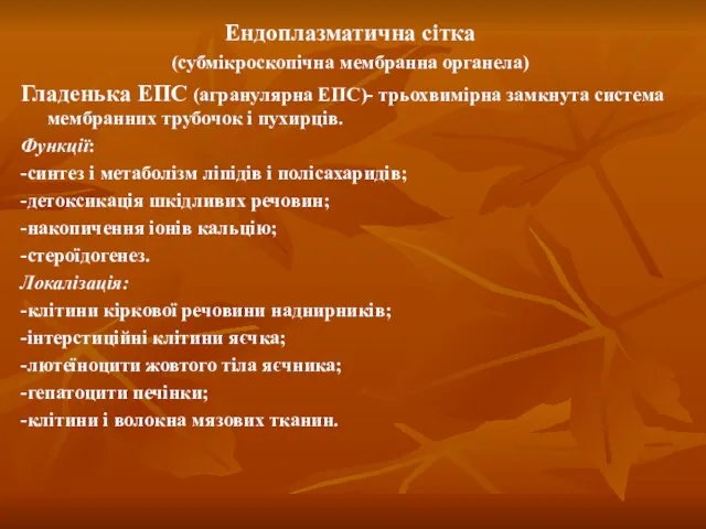 Ендоплазматична сітка (субмікроскопічна мембранна органела) Гладенька ЕПС (агранулярна ЕПС)- трьохвимірна замкнута