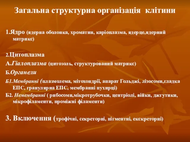 Загальна структурна організація клітини 1.Ядро (ядерна оболонка, хроматин, каріоплазма, ядерце,ядерний матрикс)