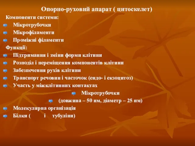 Опорно-руховий апарат ( цитоскелет) Компоненти системи: Мікротрубочки Мікрофіламенти Проміжні філаменти Функції: