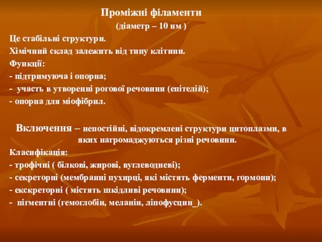 Проміжні філаменти (діаметр – 10 нм ) Це стабільні структури. Хімічний