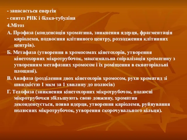 - запасається енергія - синтез РНК і білка-тубуліна 4.Мітоз А. Профаза