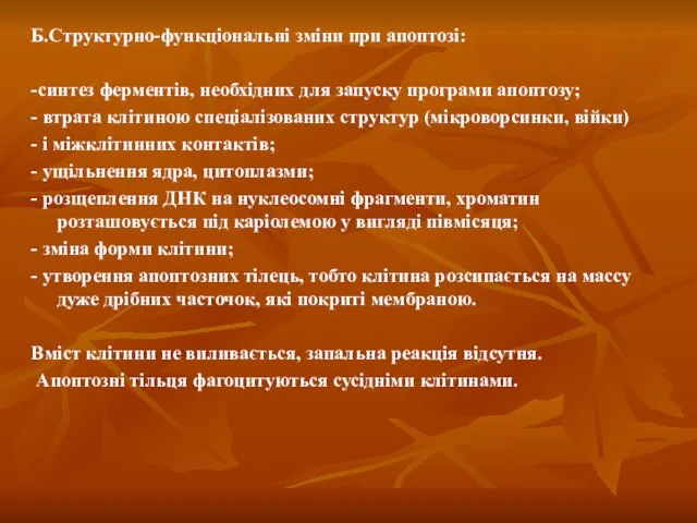 Б.Структурно-функціональні зміни при апоптозі: -синтез ферментів, необхідних для запуску програми апоптозу;