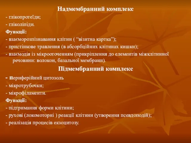 Надмембранний комплекс - глікопротеїди; - гліколіпіди. Функції: - взаєморозпізнавання клітин (