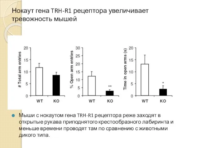 Нокаут гена TRH-R1 рецептора увеличивает тревожность мышей Мыши с нокаутом гена