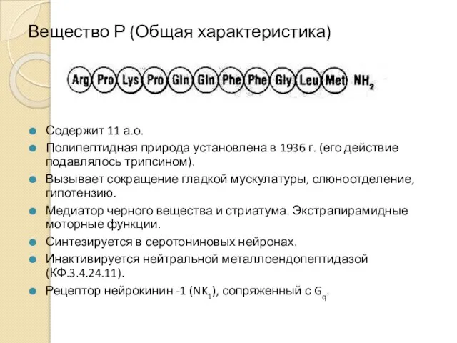 Вещество Р (Общая характеристика) Содержит 11 а.о. Полипептидная природа установлена в