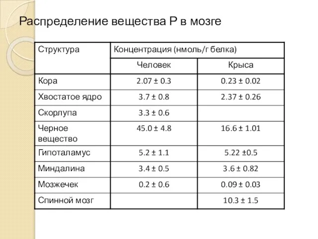 Распределение вещества Р в мозге