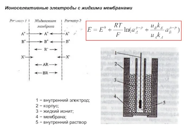 Ионоселективные электроды с жидкими мембранами 1 − внутренний электрод; 2 −