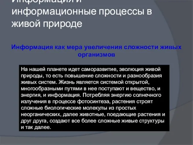 Информация и информационные процессы в живой природе Информация как мера увеличения