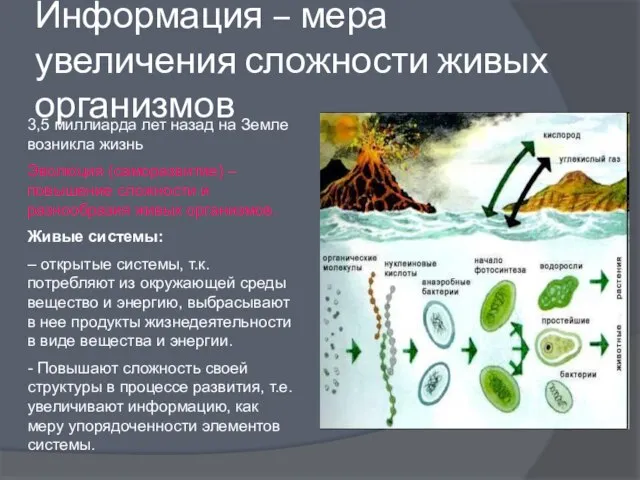 Информация – мера увеличения сложности живых организмов 3,5 миллиарда лет назад