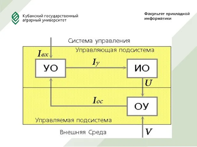 Факультет прикладной информатики