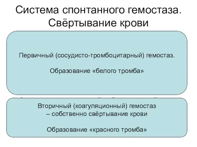 Система спонтанного гемостаза. Свёртывание крови Сосудистая реакция (вазоконстрикция) Активация тромбоцитов Адгезия