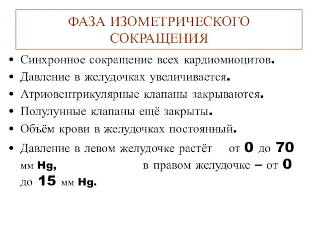 ФАЗА ИЗОМЕТРИЧЕСКОГО СОКРАЩЕНИЯ Синхронное сокращение всех кардиомиоцитов. Давление в желудочках увеличивается.