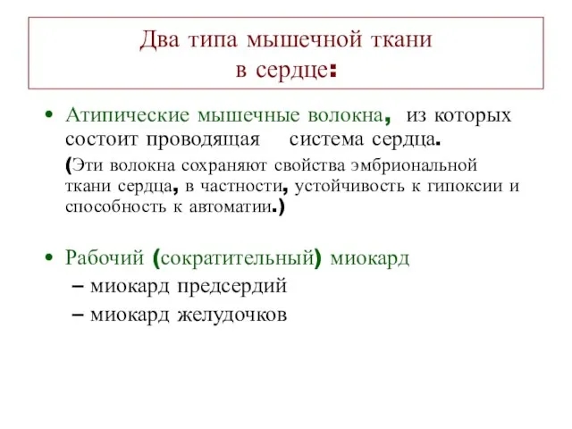 Два типа мышечной ткани в сердце: Атипические мышечные волокна, из которых