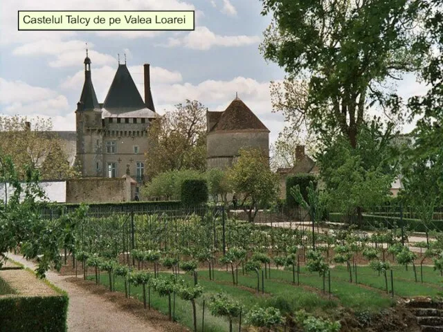 * Castelul Talcy de pe Valea Loarei