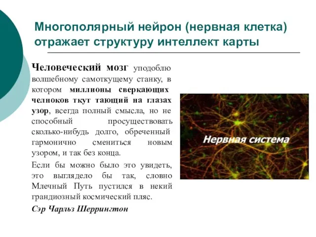 Многополярный нейрон (нервная клетка) отражает структуру интеллект карты Человеческий мозг уподоблю