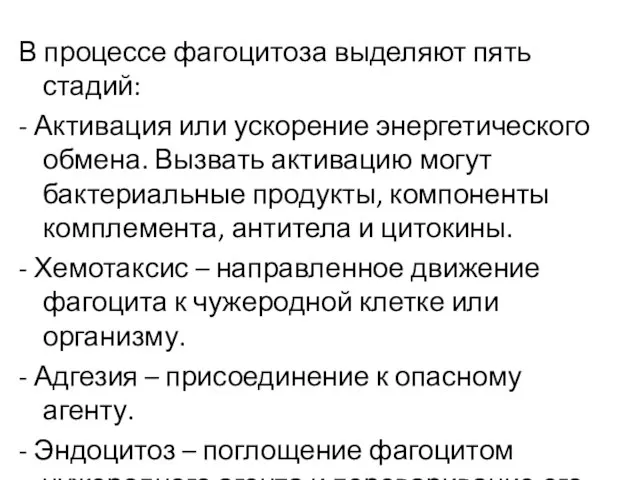 В процессе фагоцитоза выделяют пять стадий: - Активация или ускорение энергетического