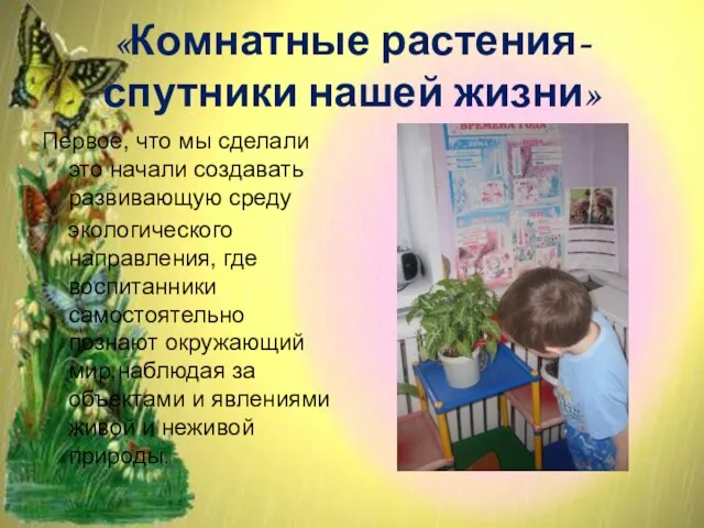 «Комнатные растения-спутники нашей жизни» Первое, что мы сделали это начали создавать