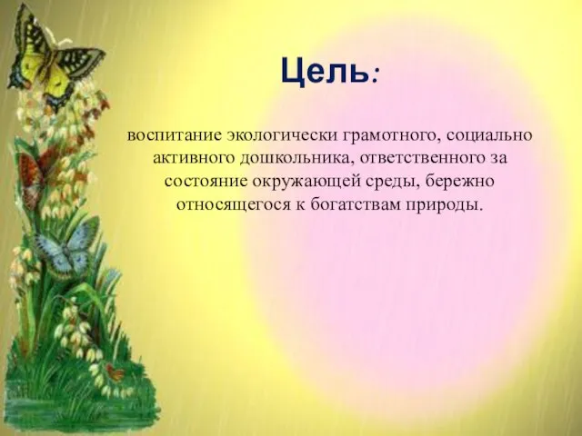 Цель: Цель: воспитание экологически грамотного, социально активного дошкольника, ответственного за состояние