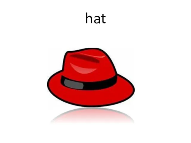 hat