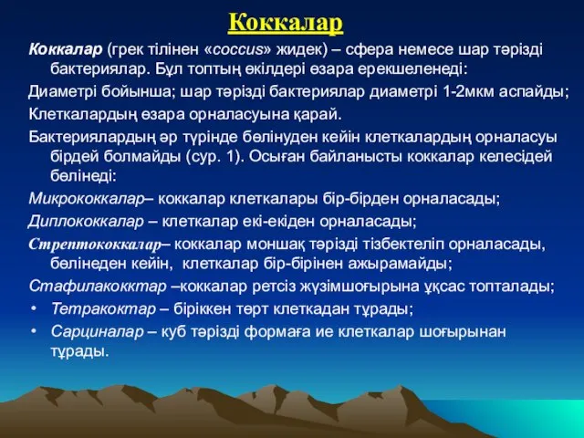 Коккалар Коккалар (грек тілінен «coccus» жидек) – сфера немесе шар тәрізді