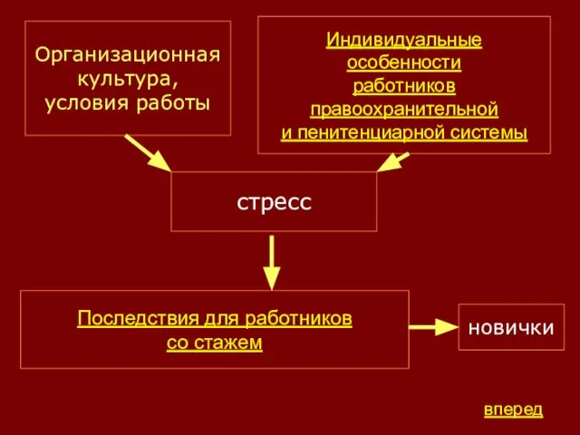 Организационная культура, условия работы Индивидуальные особенности работников правоохранительной и пенитенциарной системы