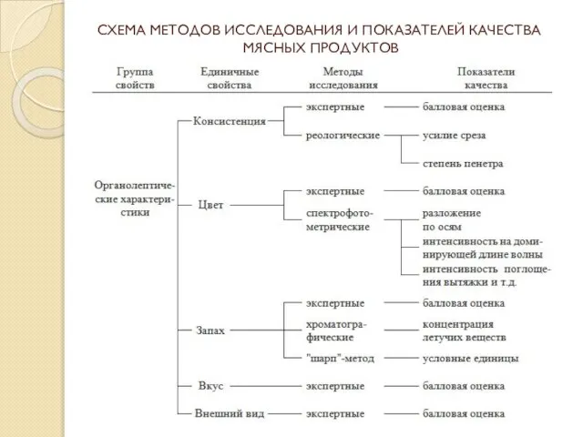 СХЕМА МЕТОДОВ ИССЛЕДОВАНИЯ И ПОКАЗАТЕЛЕЙ КАЧЕСТВА МЯСНЫХ ПРОДУКТОВ