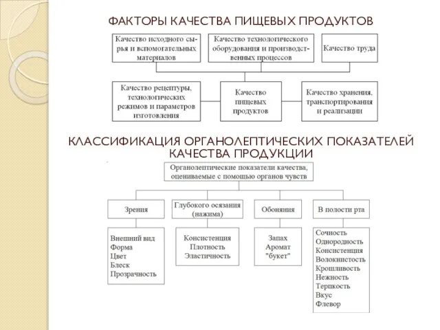 ФАКТОРЫ КАЧЕСТВА ПИЩЕВЫХ ПРОДУКТОВ КЛАССИФИКАЦИЯ ОРГАНОЛЕПТИЧЕСКИХ ПОКАЗАТЕЛЕЙ КАЧЕСТВА ПРОДУКЦИИ