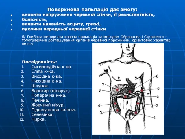 Поверхнева пальпація дає змогу: виявити напруження черевної стінки, її резистентність, болісність,