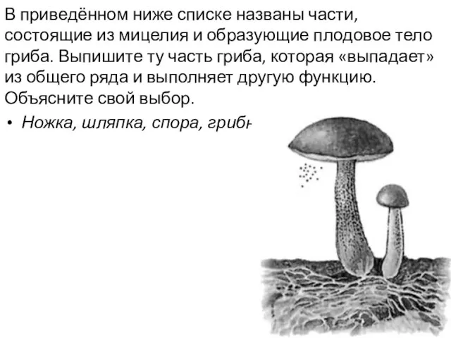 В приведённом ниже списке названы части, состоящие из мицелия и образующие