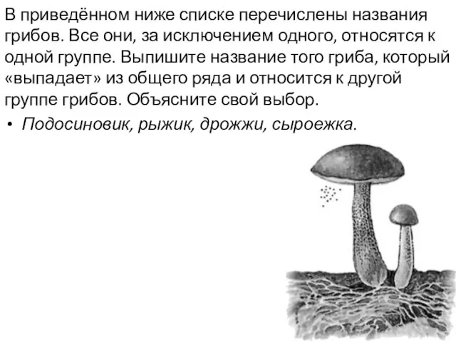 В приведённом ниже списке перечислены названия грибов. Все они, за исключением