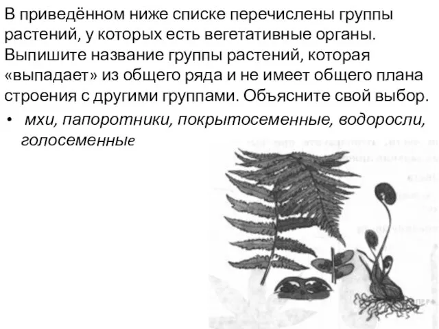 В приведённом ниже списке перечислены группы растений, у которых есть вегетативные