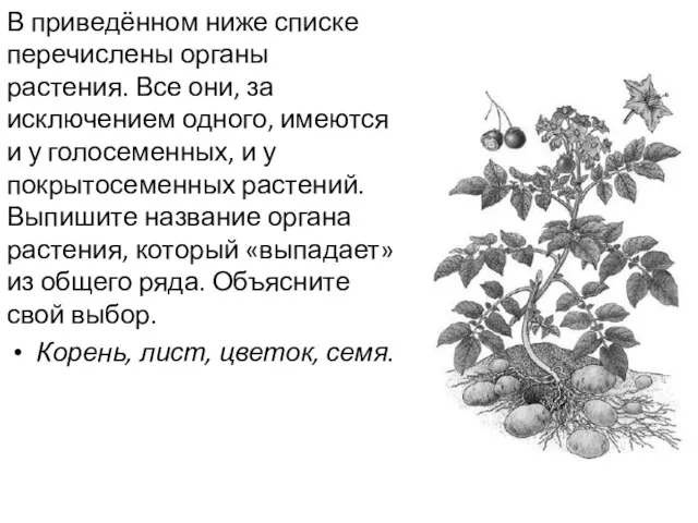 В приведённом ниже списке перечислены органы растения. Все они, за исключением