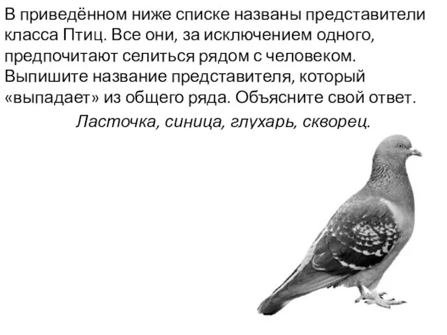 В приведённом ниже списке названы представители класса Птиц. Все они, за