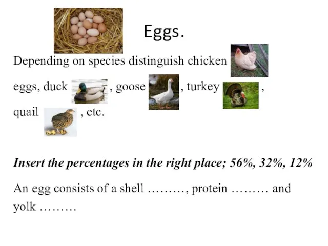 Eggs. Depending on species distinguish chicken eggs, duck , goose ,