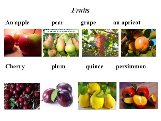 Fruits An apple pear grape an apricot Cherry plum quince persimmon