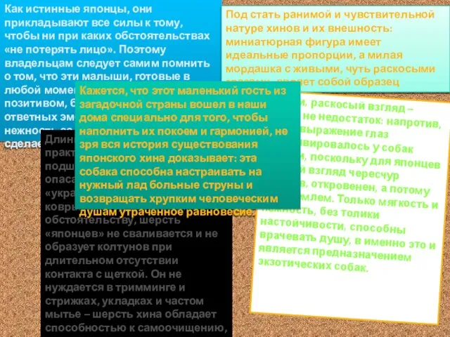 Как истинные японцы, они прикладывают все силы к тому, чтобы ни