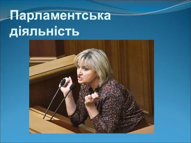 Парламентська діяльність